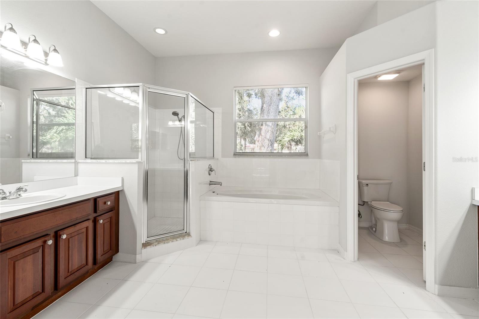 Primary Ensuite Bathroom with Shower and Separate Tub
