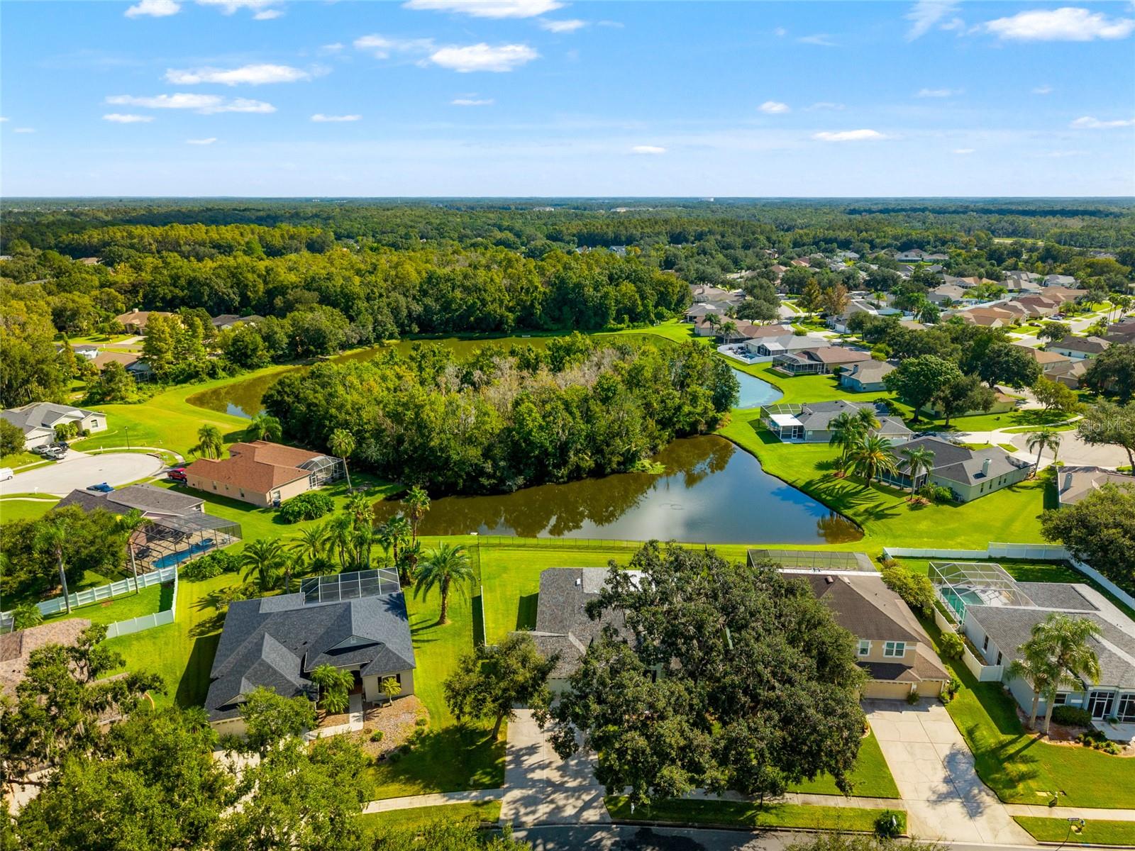 Aerial view of Pond View From Home