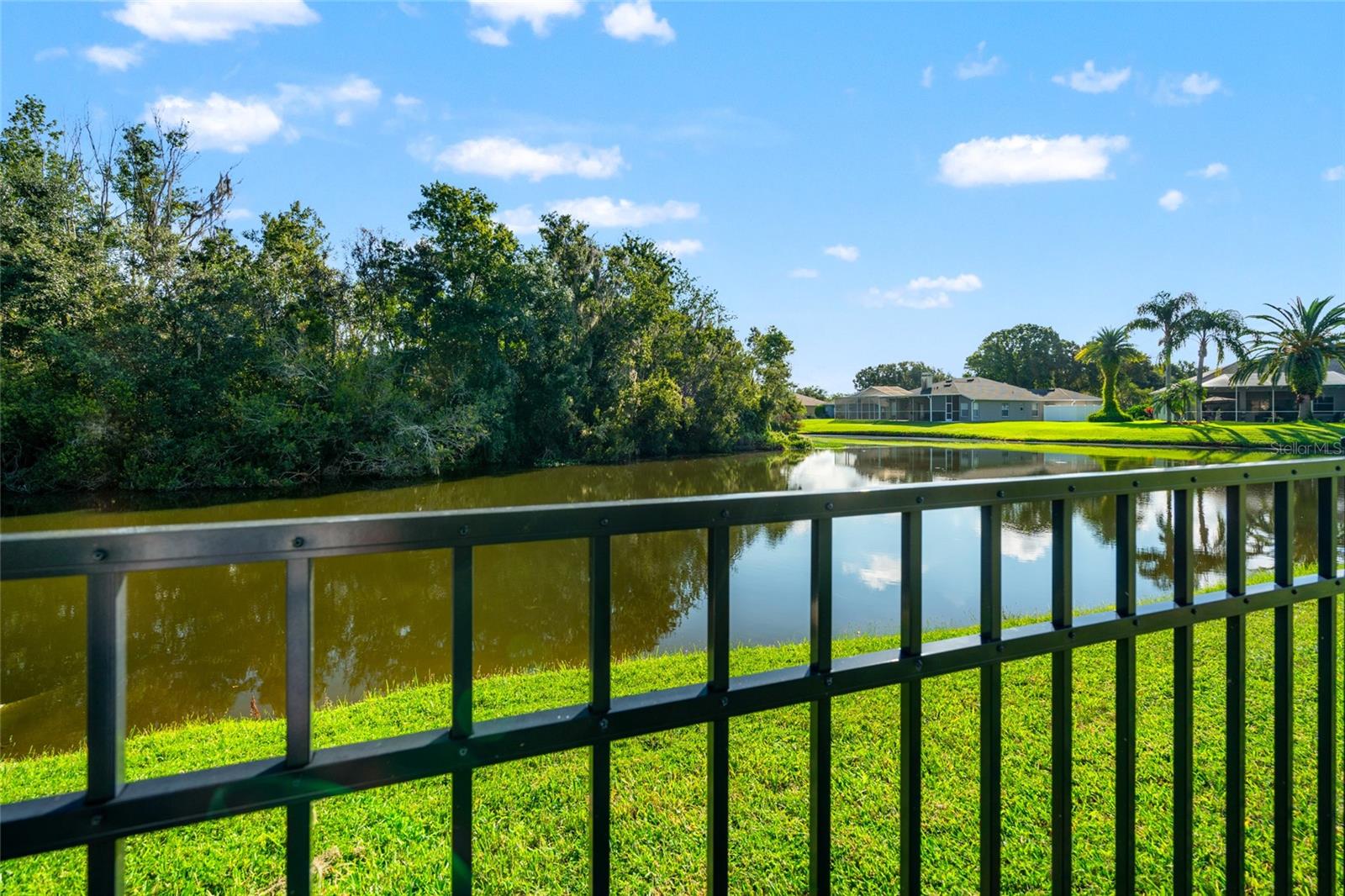 Full Pond View