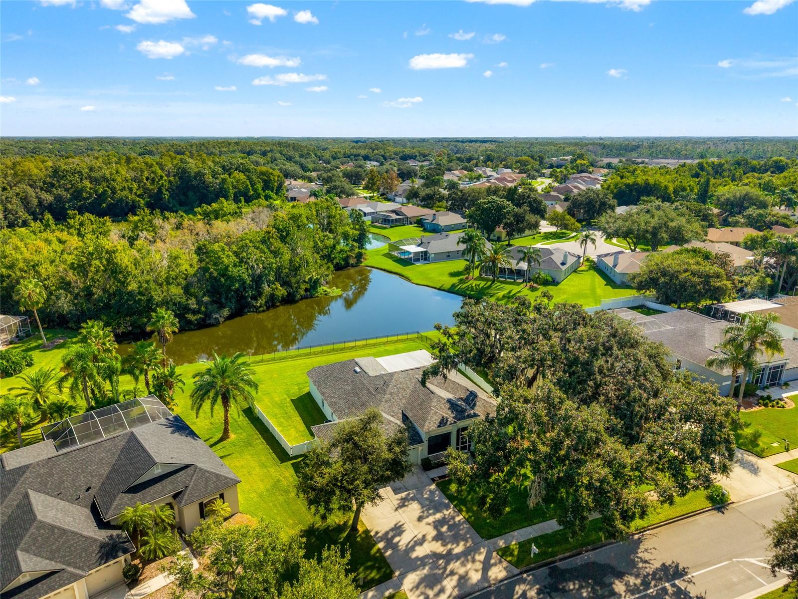 Front Aerial view of lot and pond