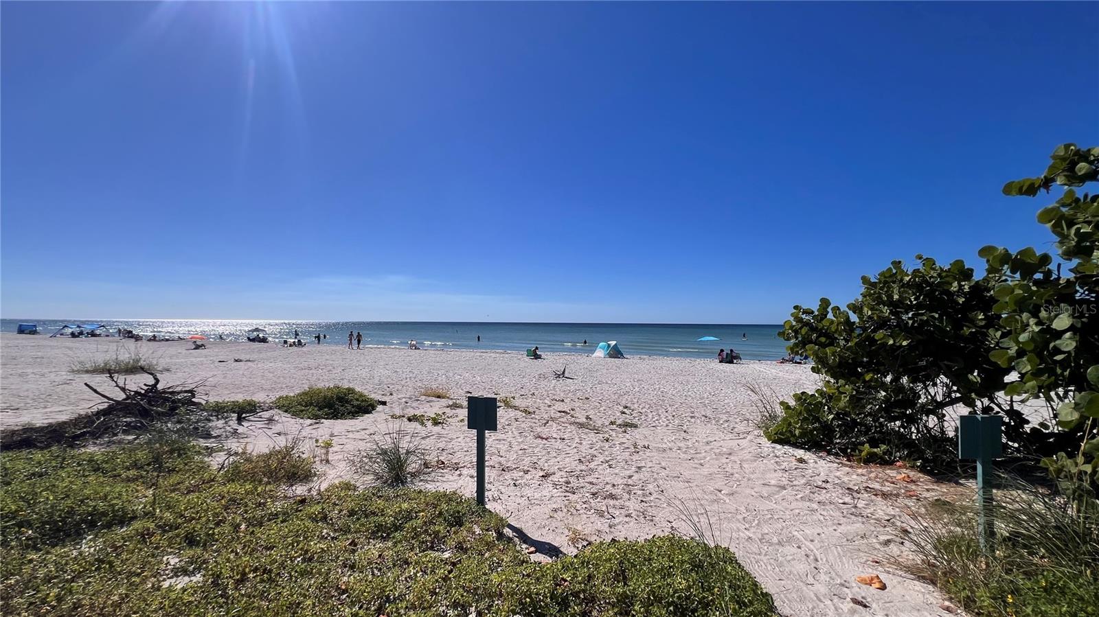 Beach from the access