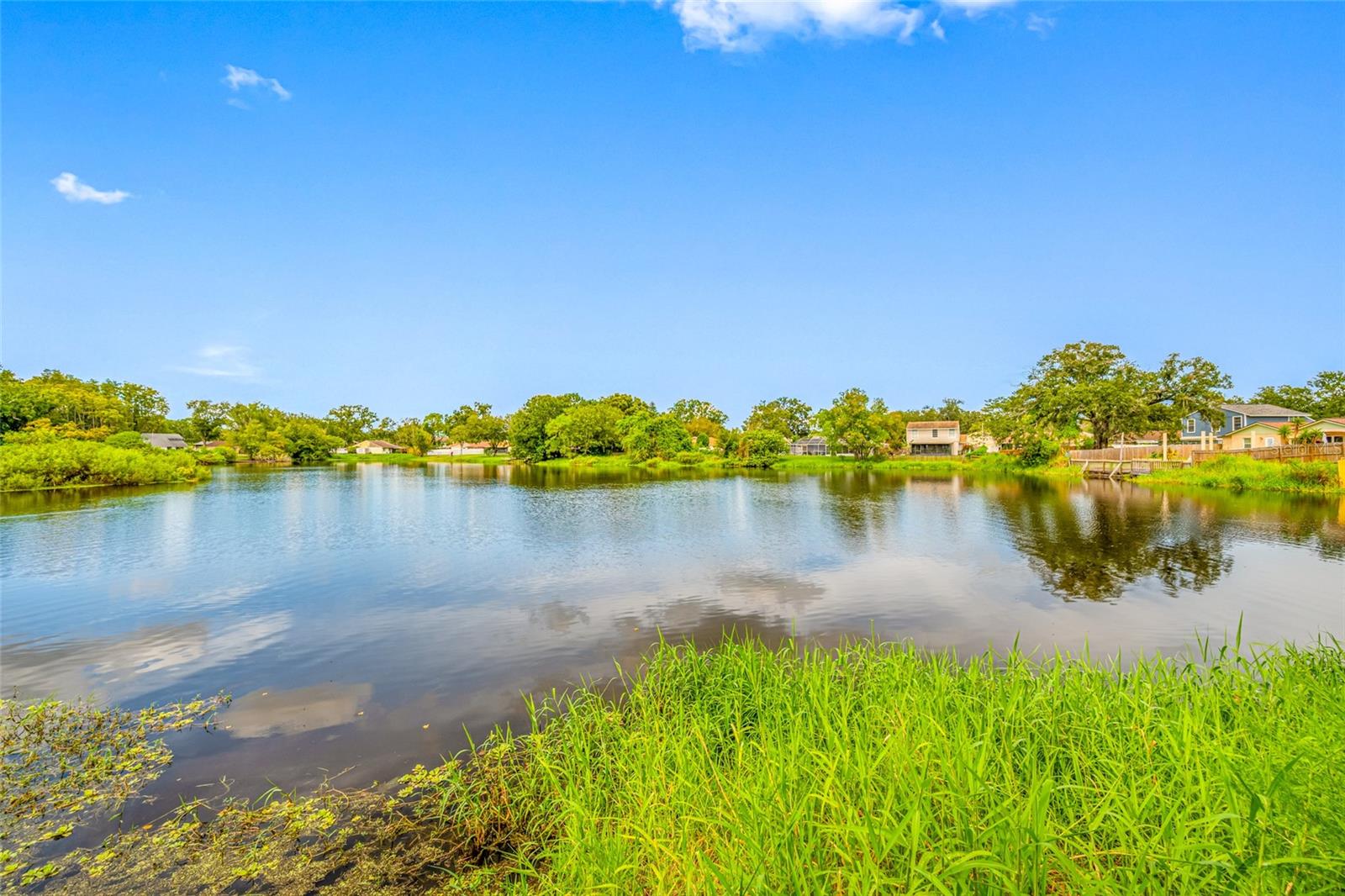 Pond View