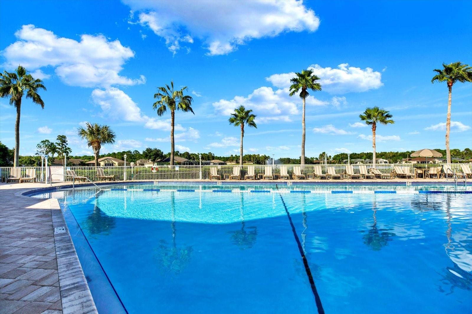 Community Swimming Pool