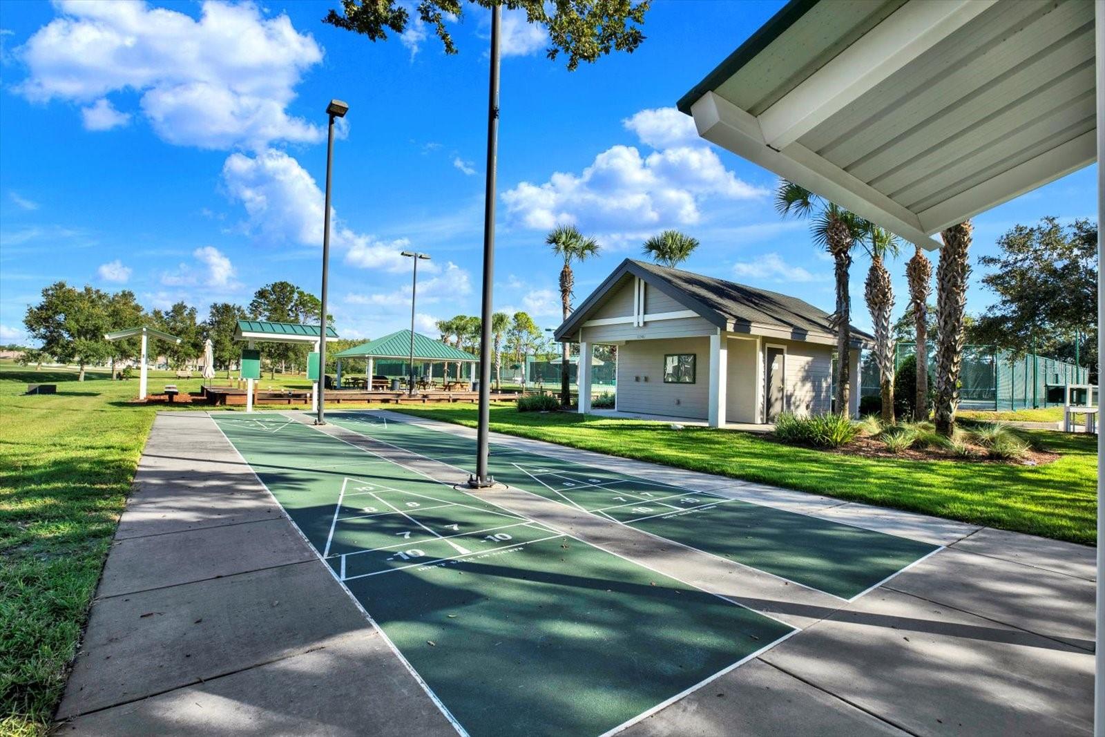 Community Shuffleboard Court