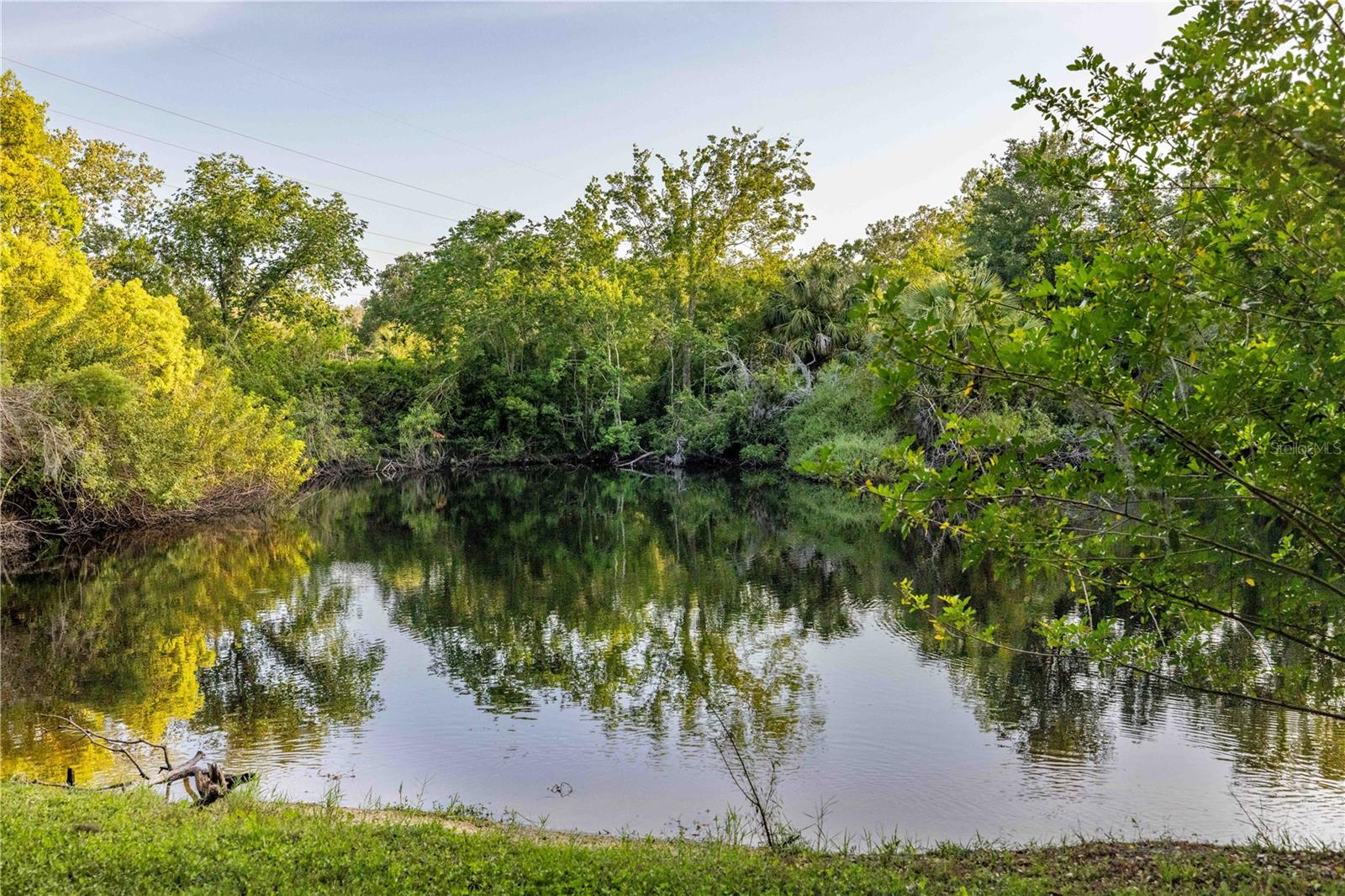 Your private pond