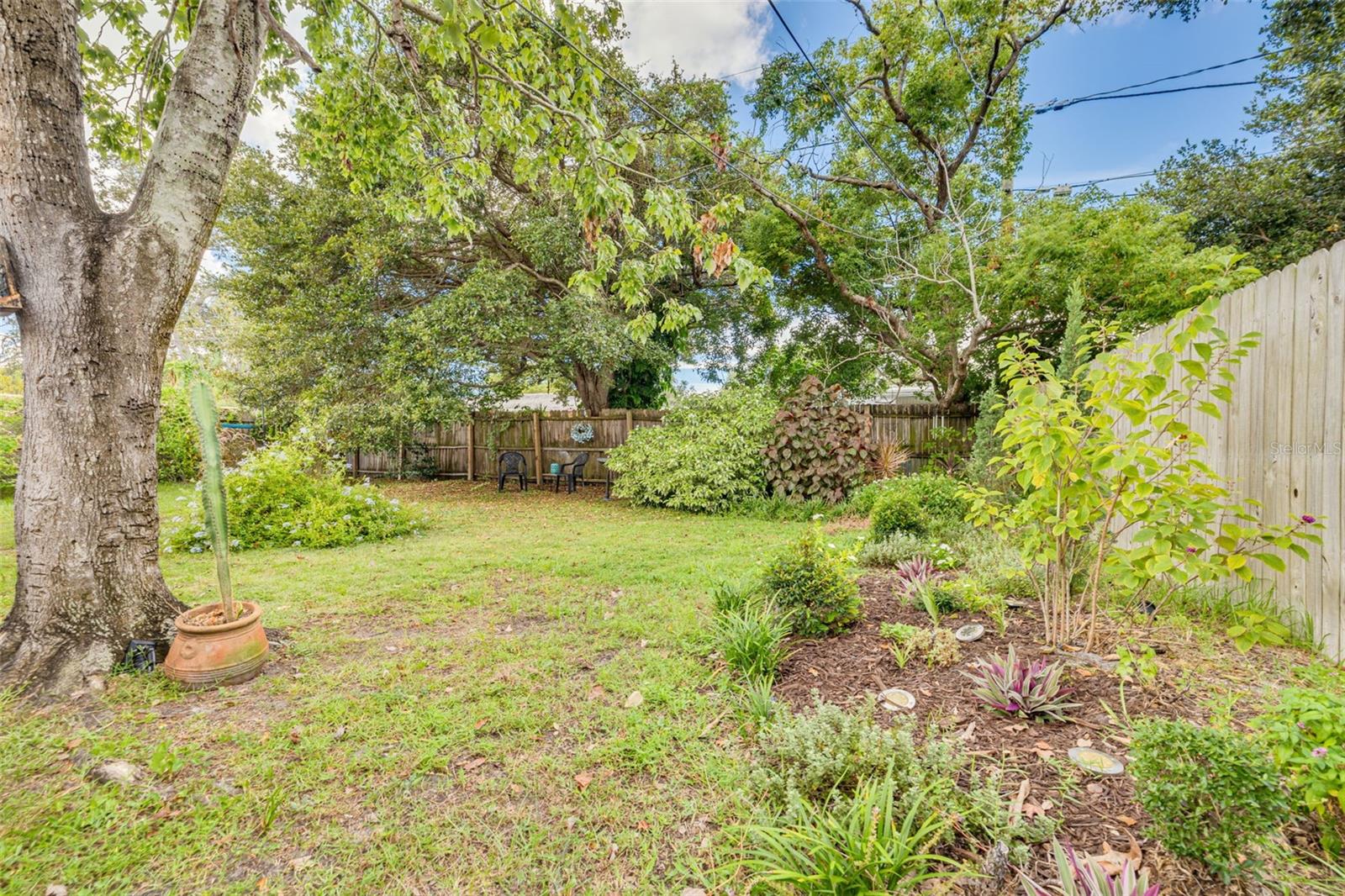 Backyard