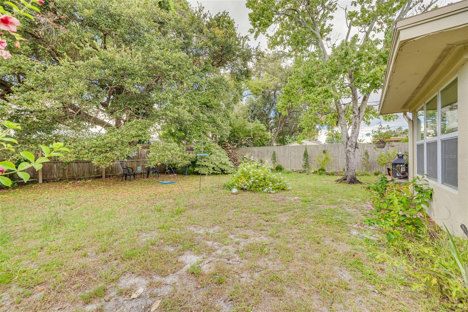 Backyard