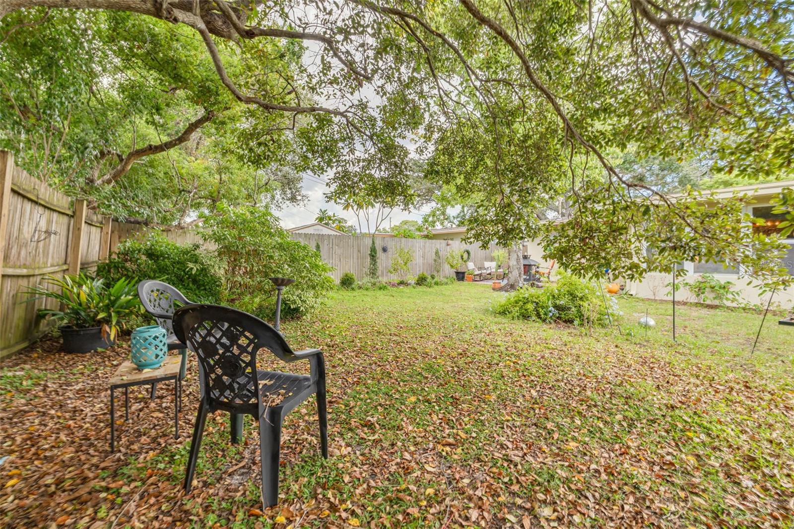 Backyard