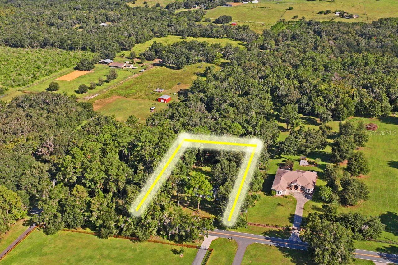 W7879293