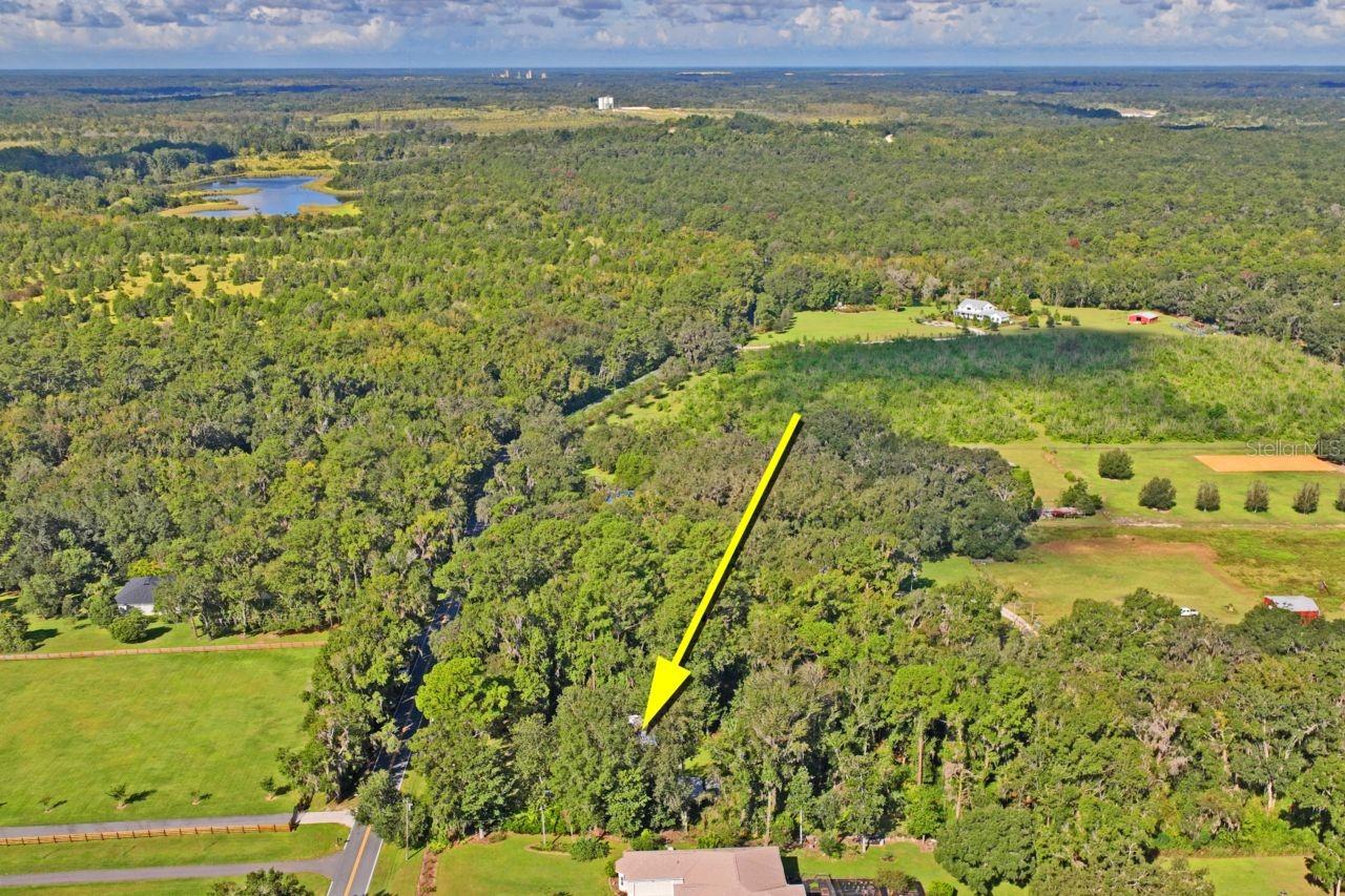 W7879293