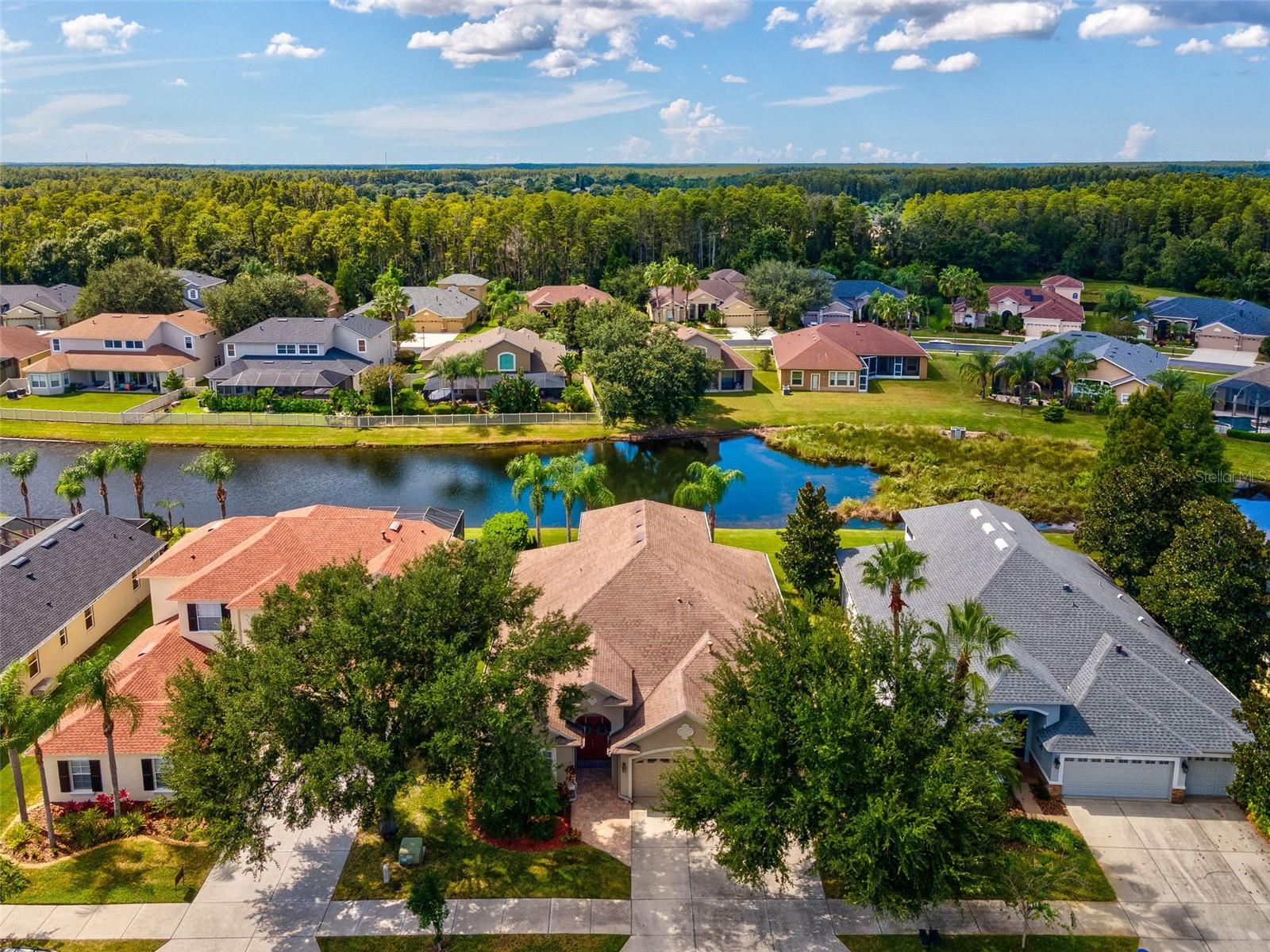 W7879294