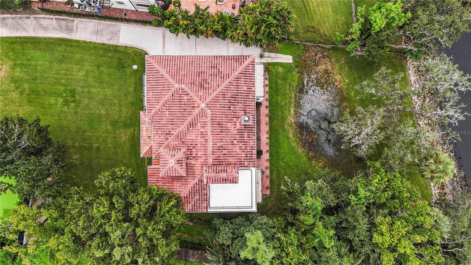 Roof View