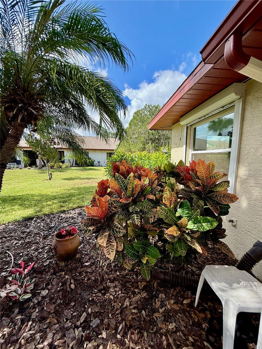 Backyard lanscaping.