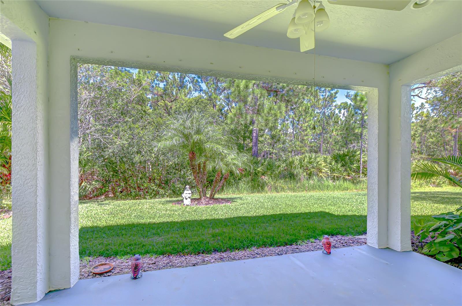 View from back porch