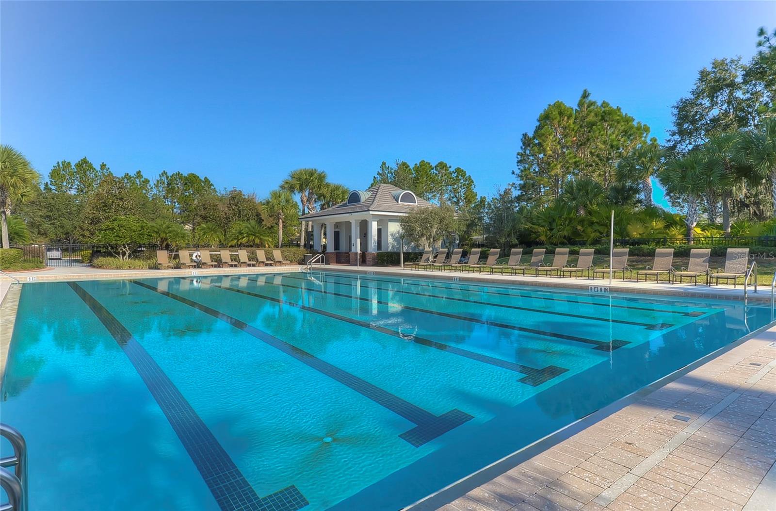 Lap Pool