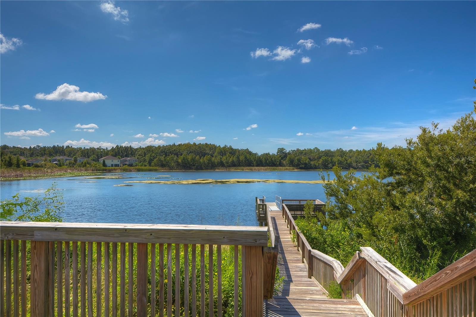 Spring fed Lake Hampton