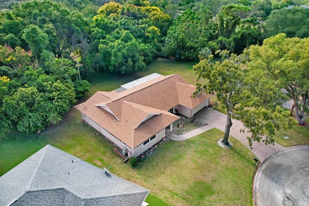 Aerial Rear