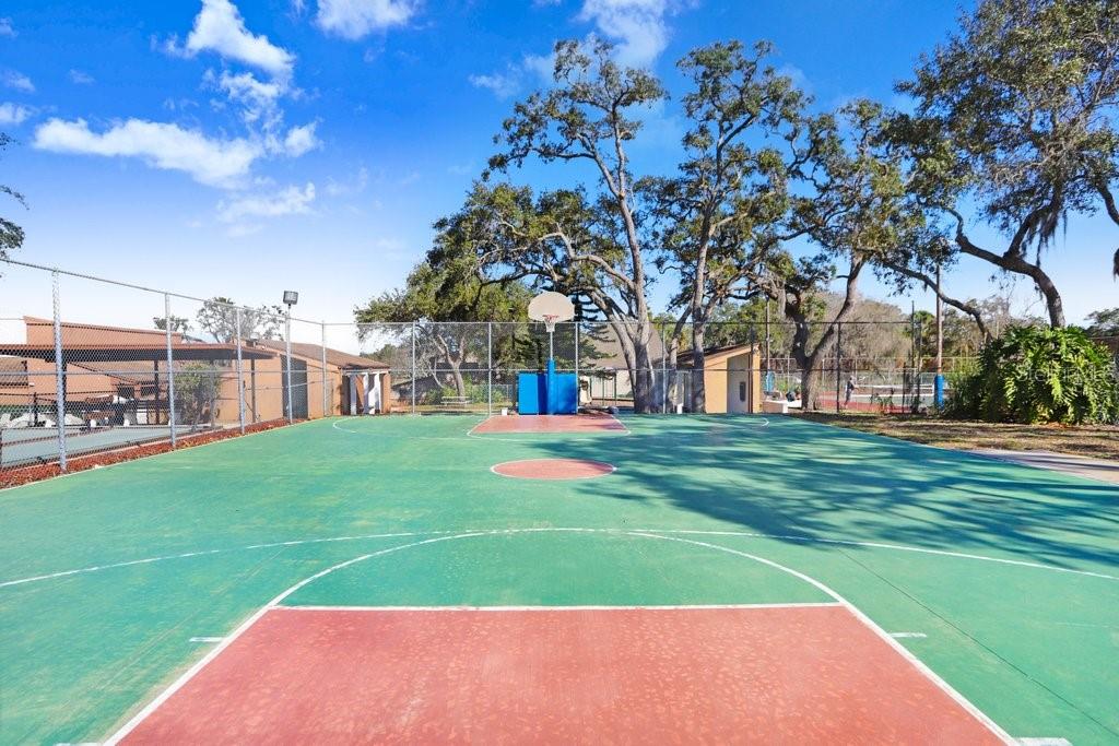 Basketball Court