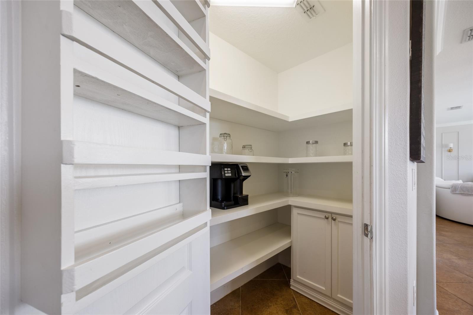 Custom Updated Pantry Shelving, cabinet and spice rack