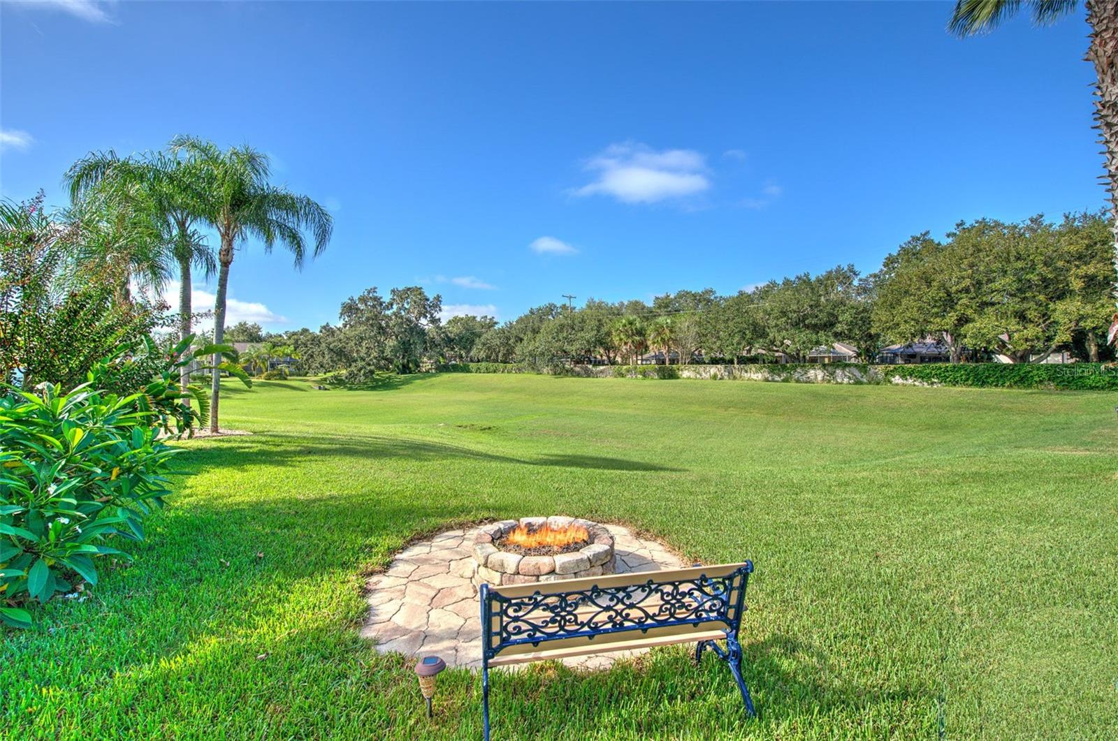 0.22 Acre Lot With No Rear Neighbors