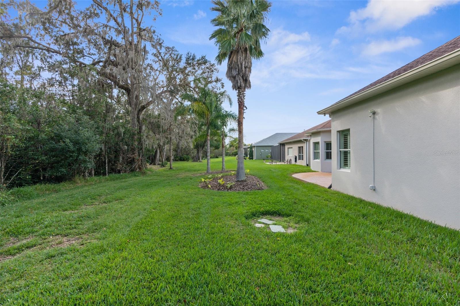 Rear yard.