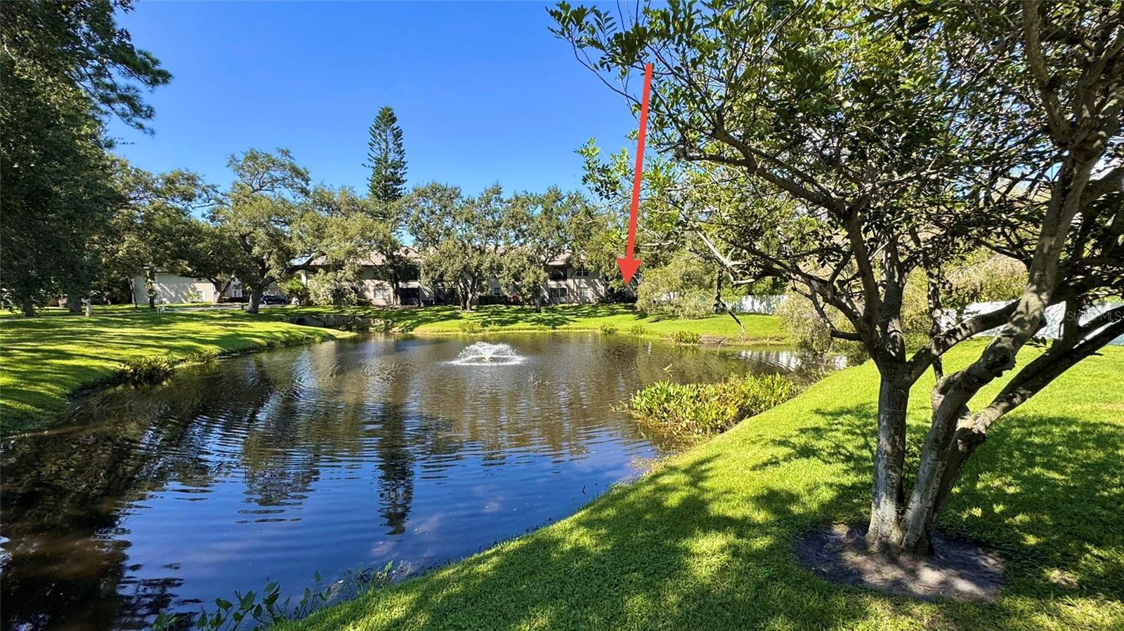 Unit across the pond from the pool