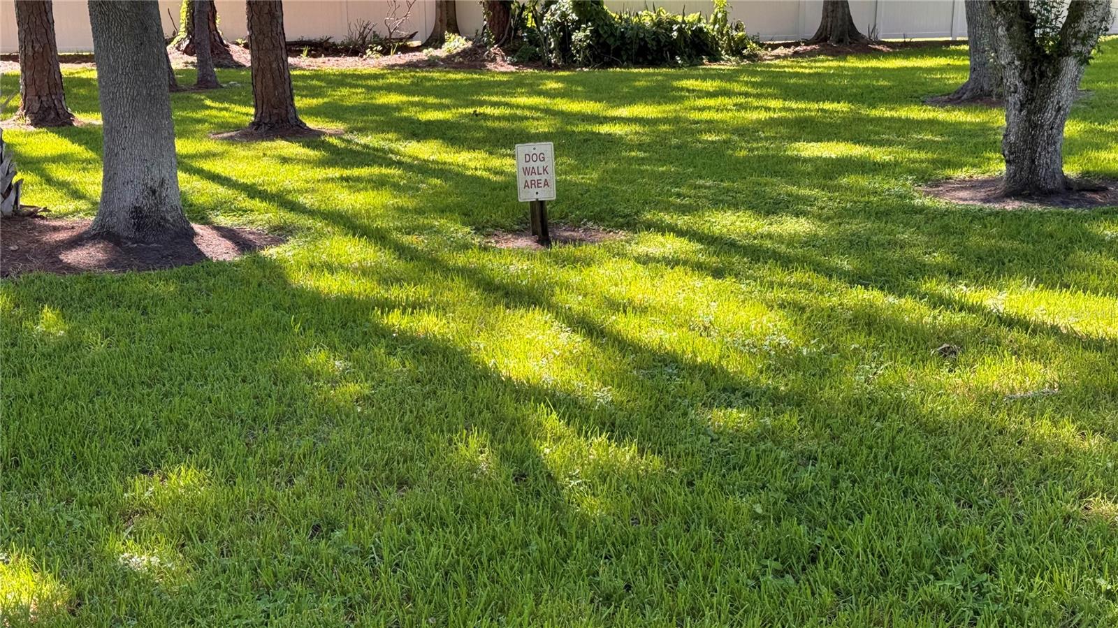 Dog walk area