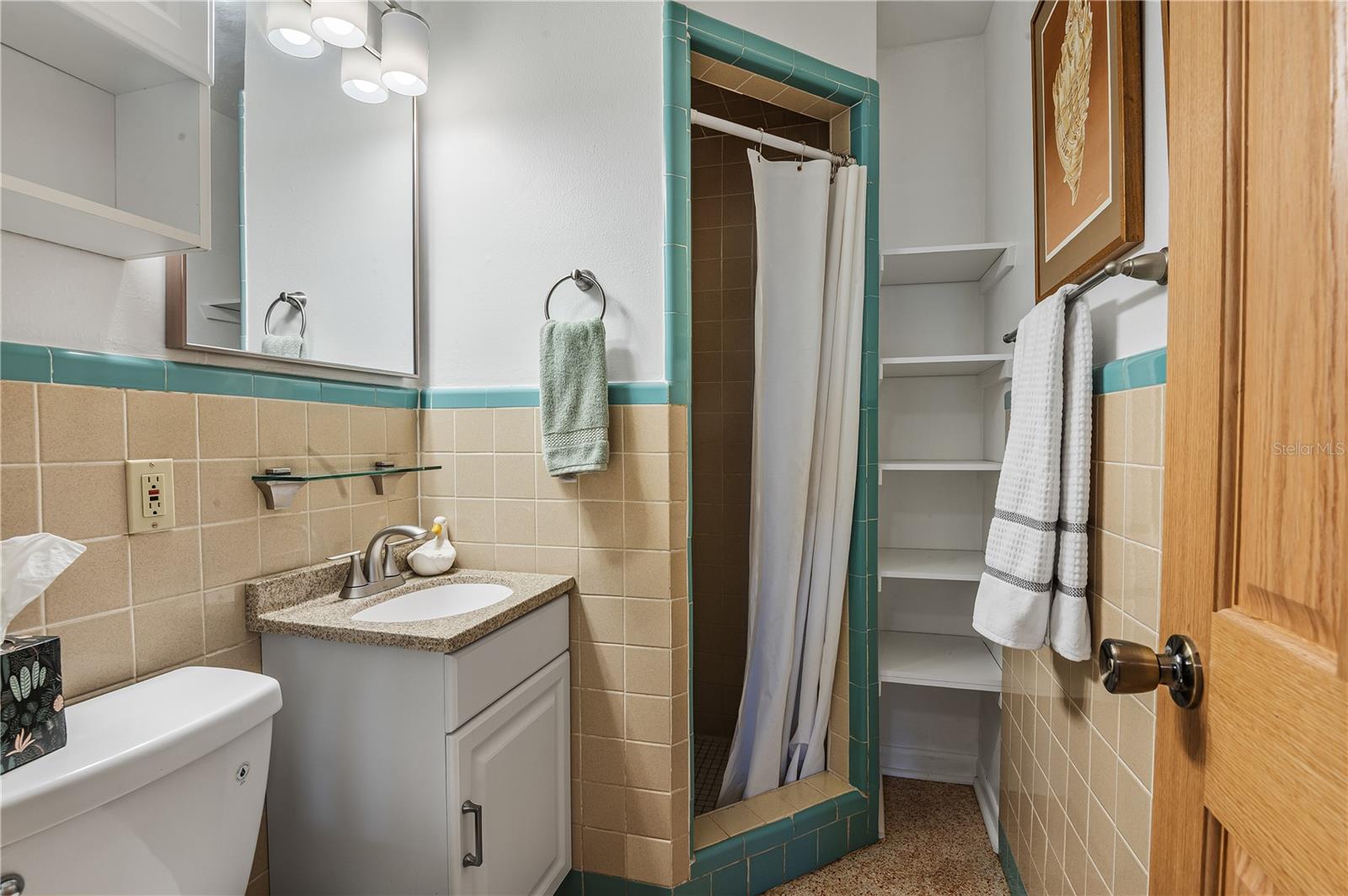 Glass Block walk-in shower. Guest bath