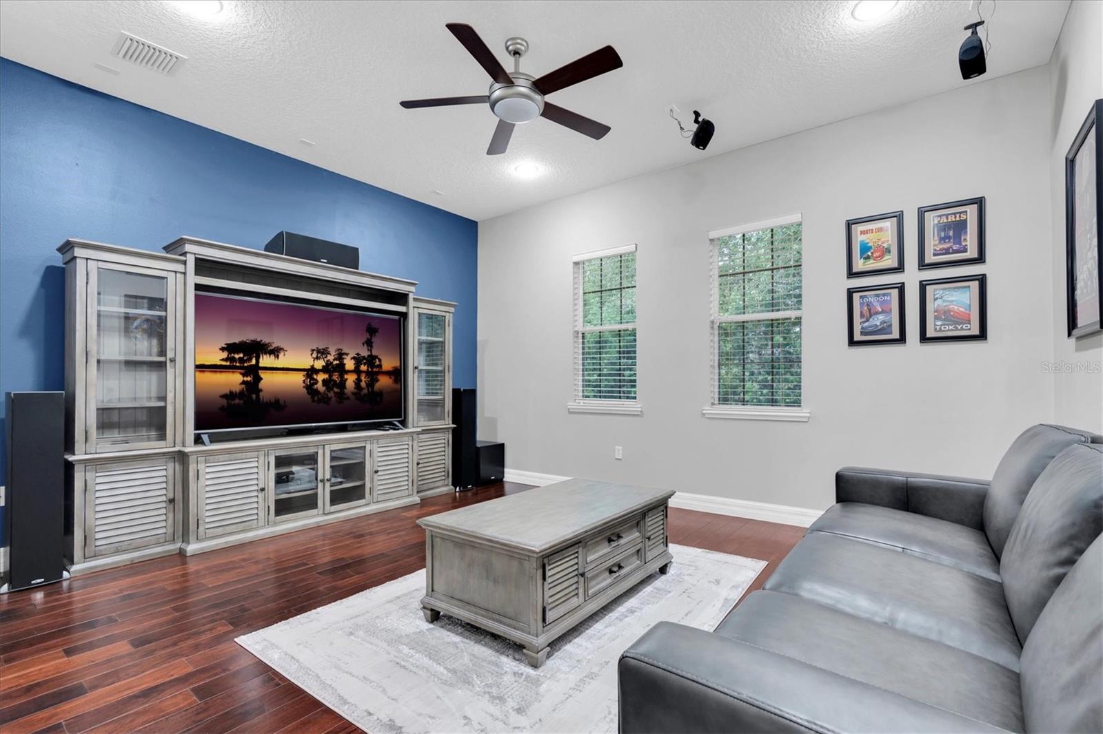 Media room
