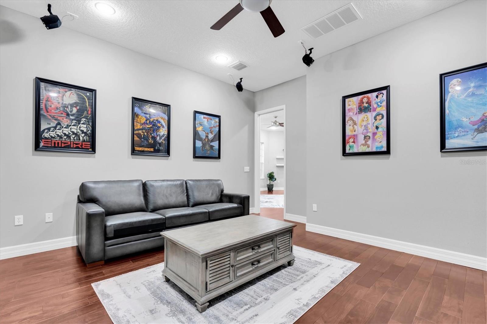 Media room