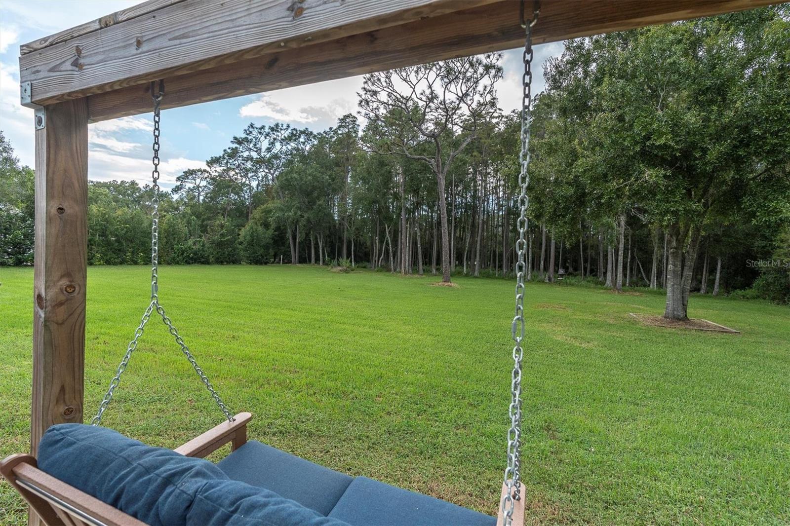 Swing view of backyard