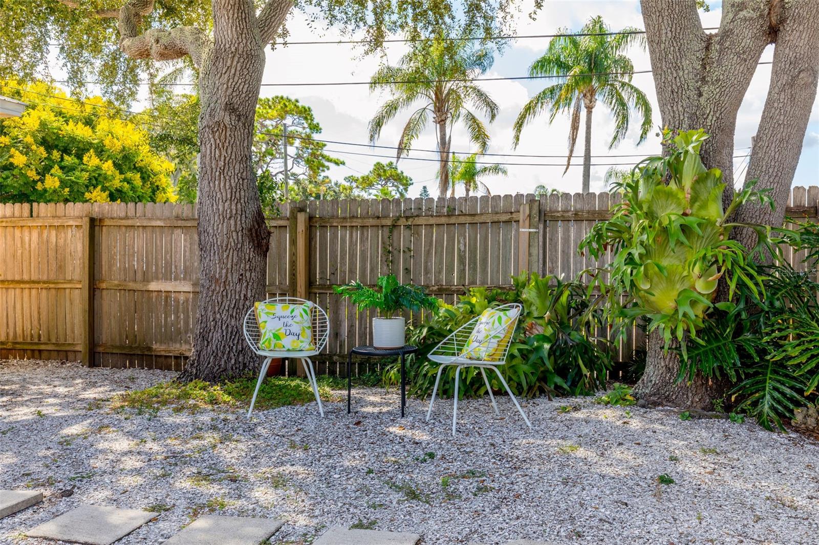 Back yard