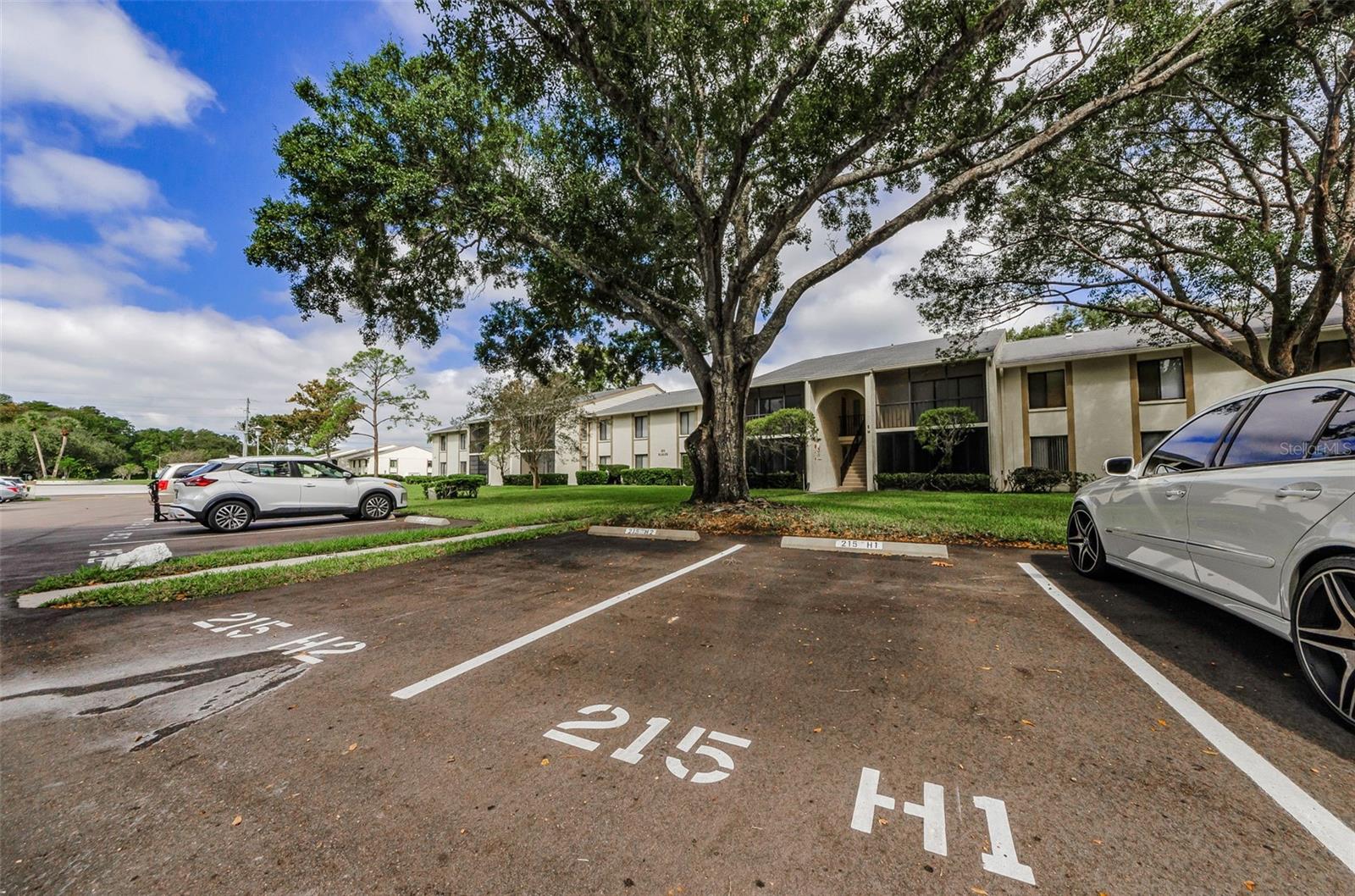 Parking Spot in front