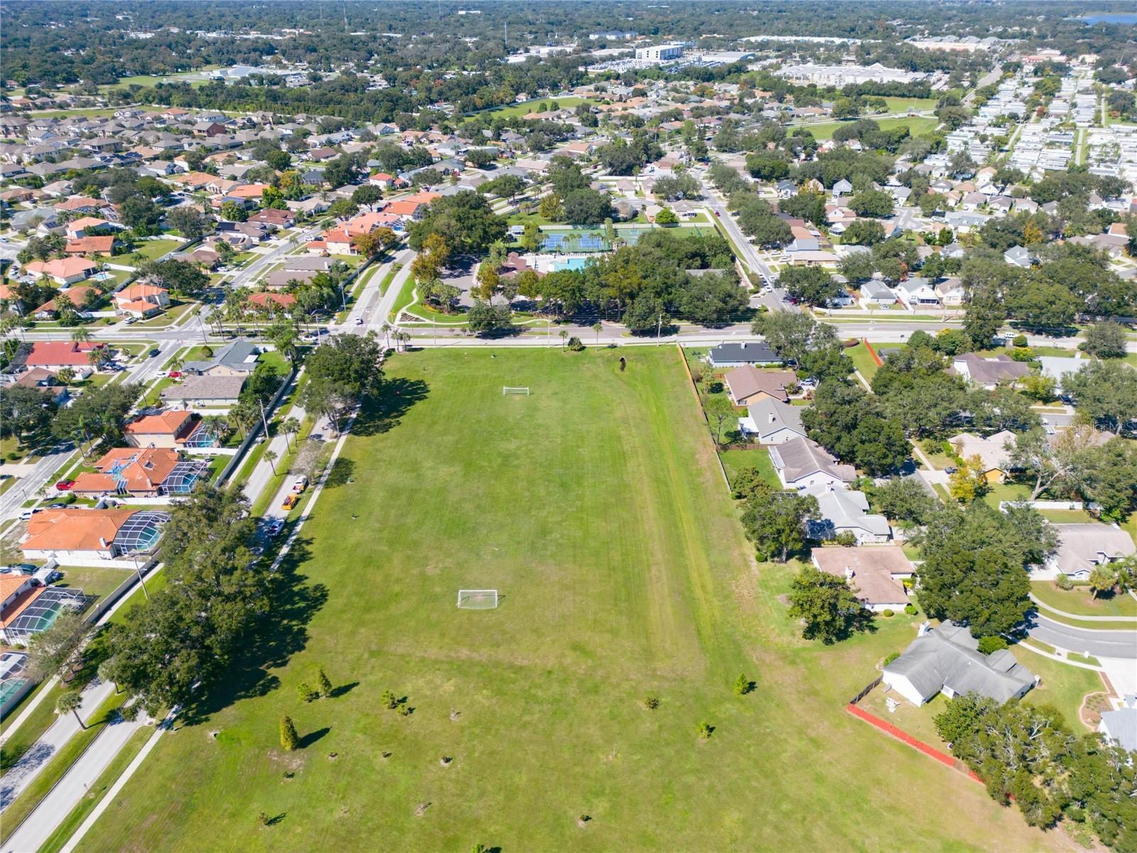 Soccer Field