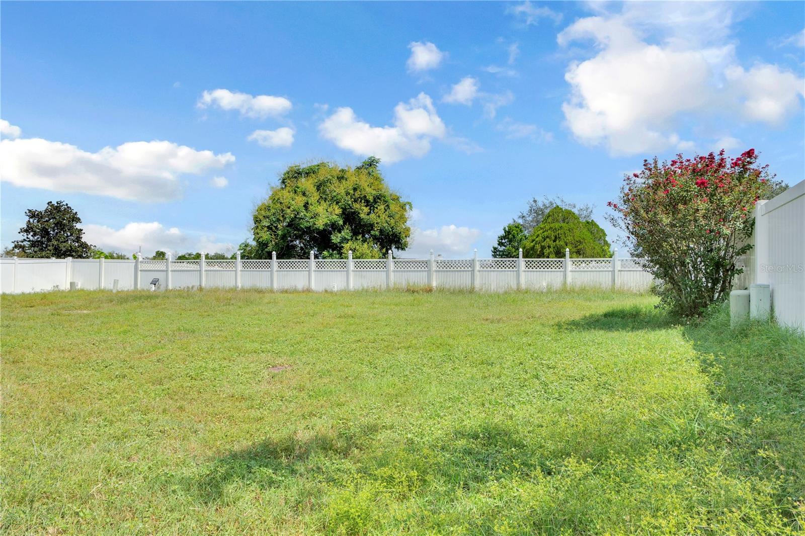Fenced Backyard