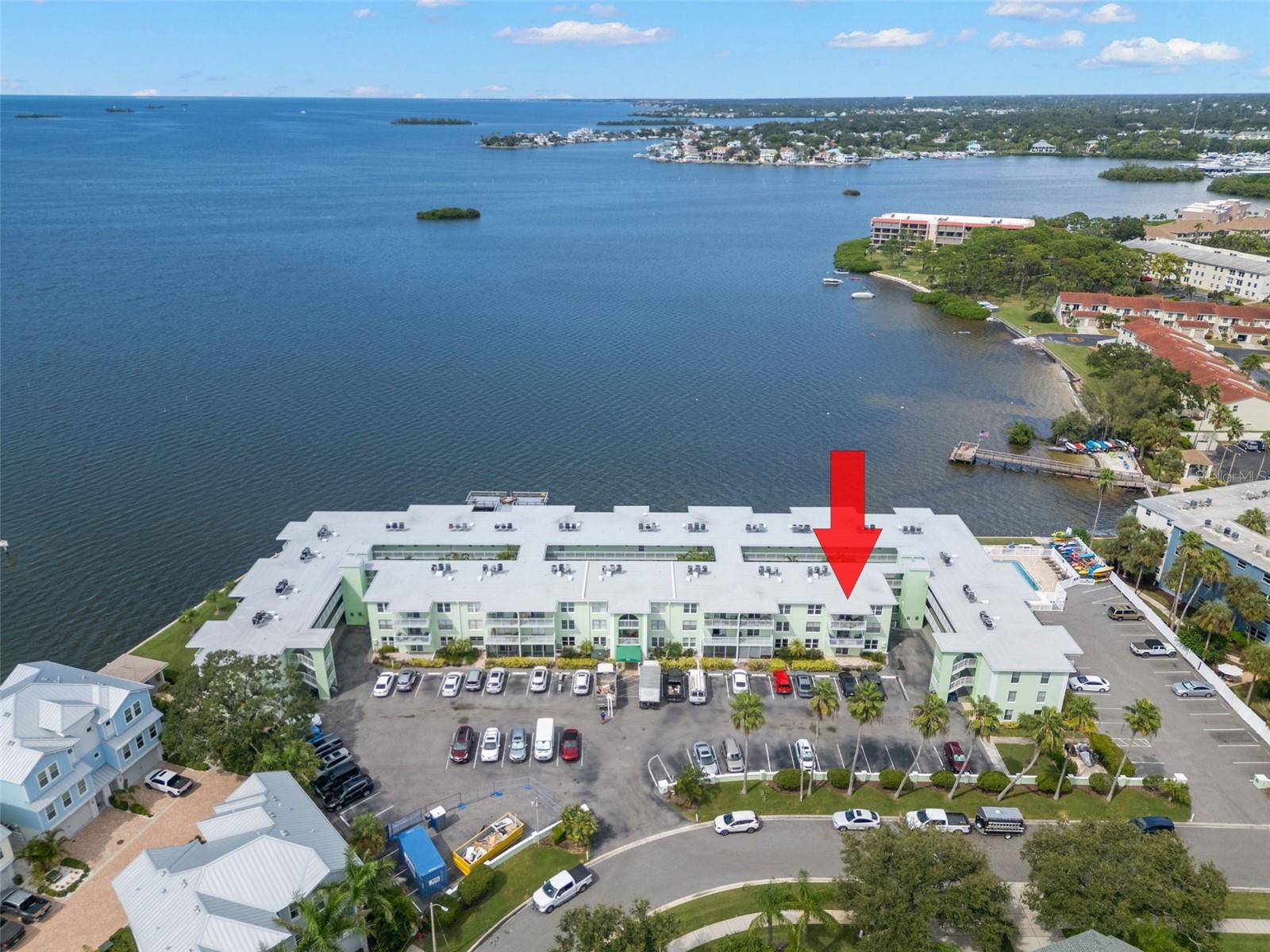 Dolphin Pointe condo in Dunedin
