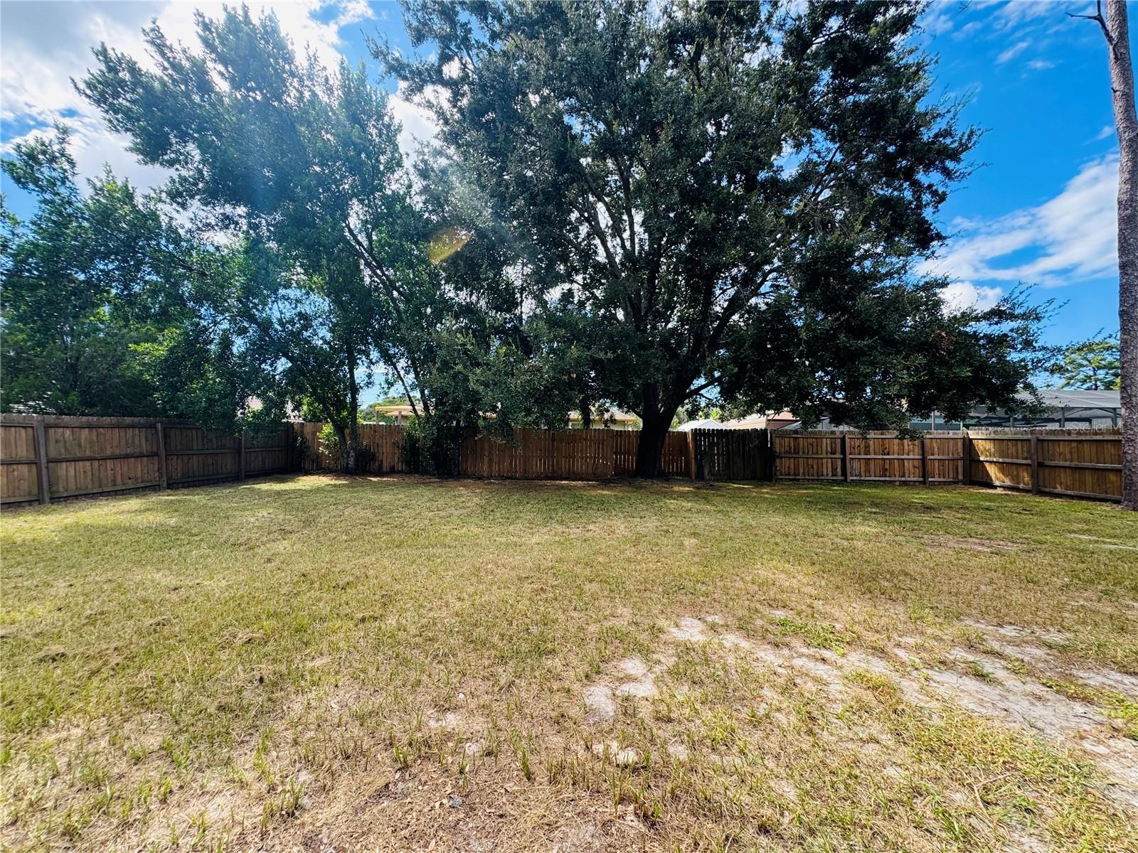 W7879339