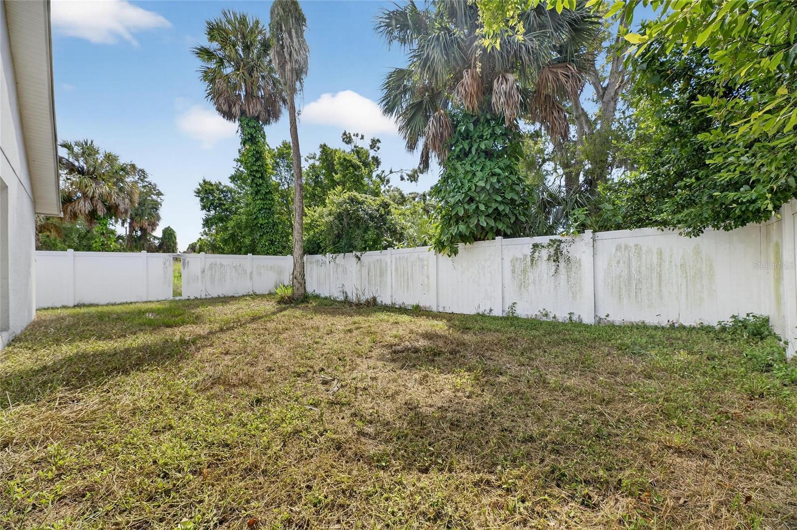 fenced in back yard