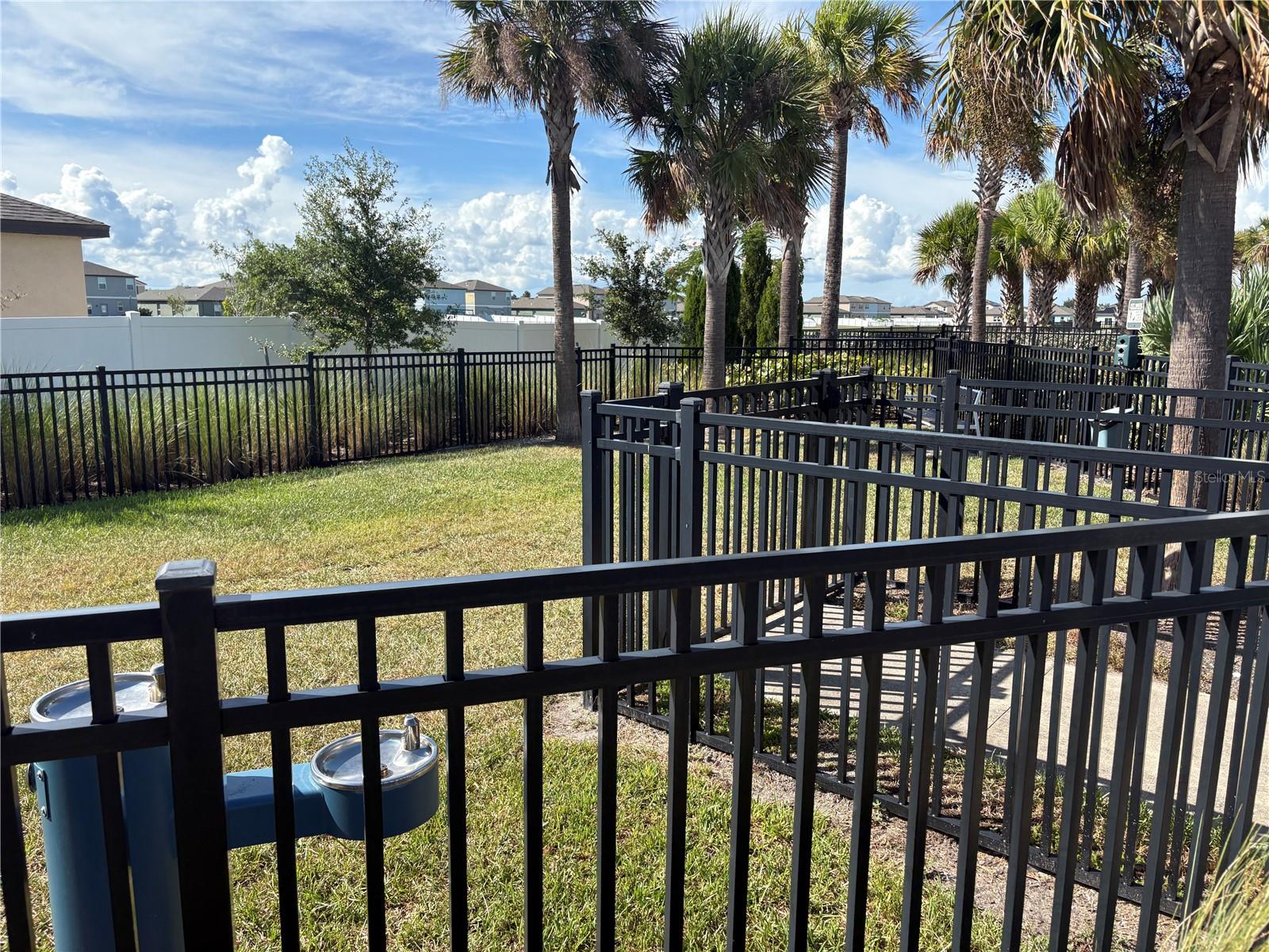 Community Dog Park