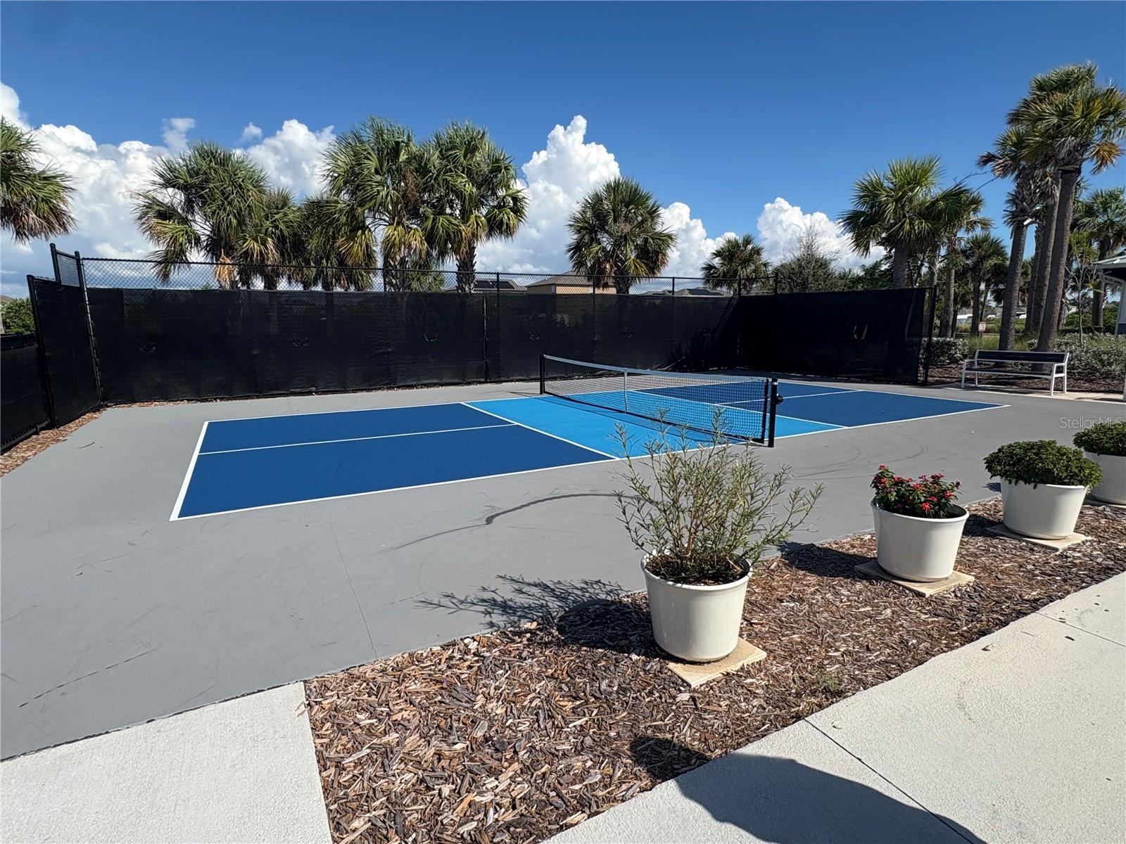 Community Pickle Ball Court