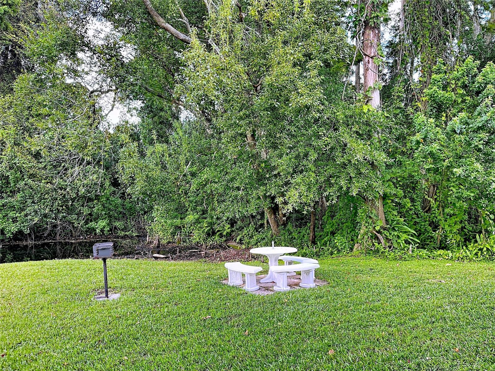 Picnic table and Grill