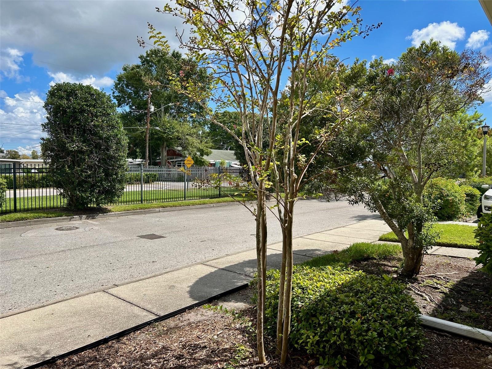 Front View With Sidewalk And Garden