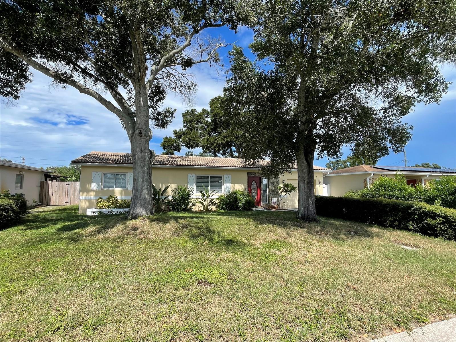 Large Front Yard