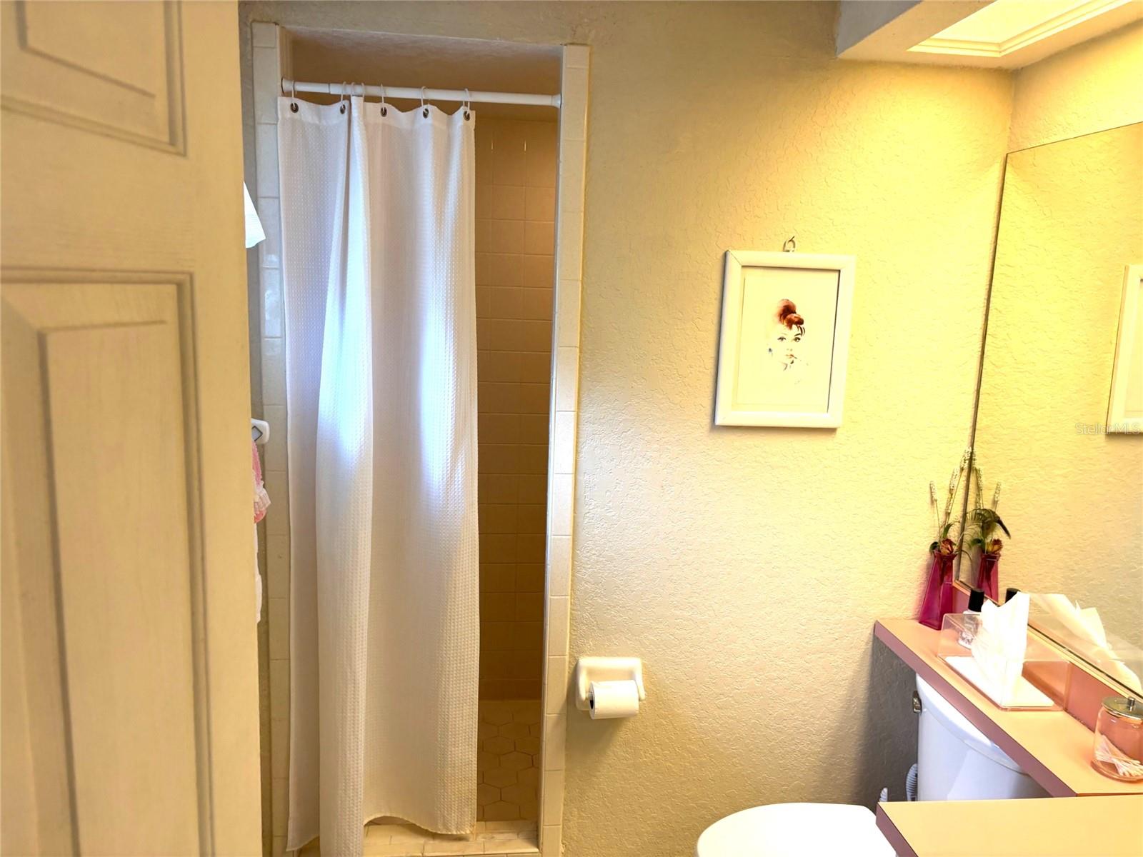 Primary bath with walk in shower