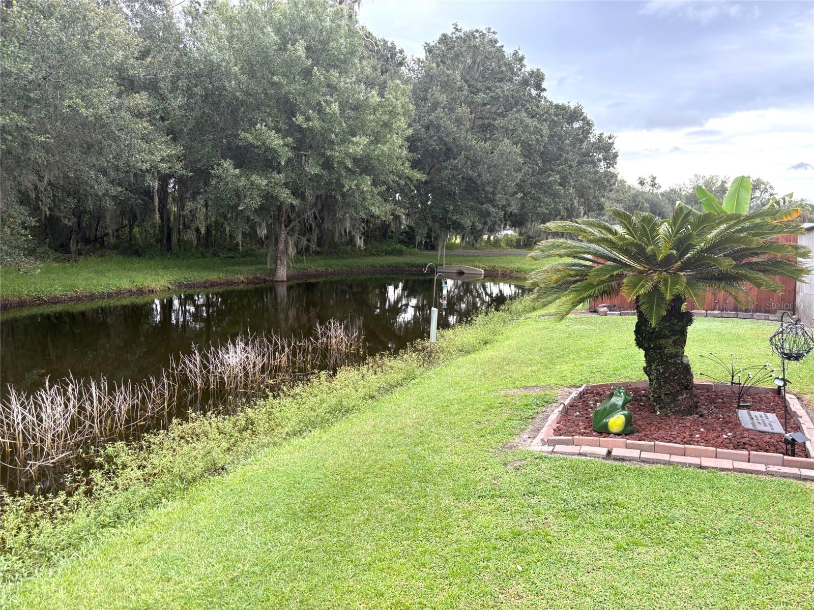 back yard