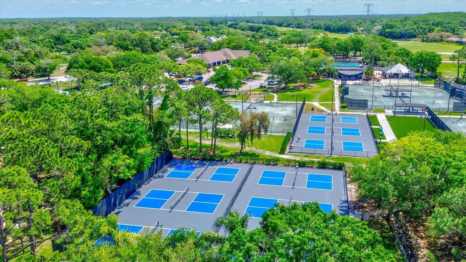New Pickleball Courts