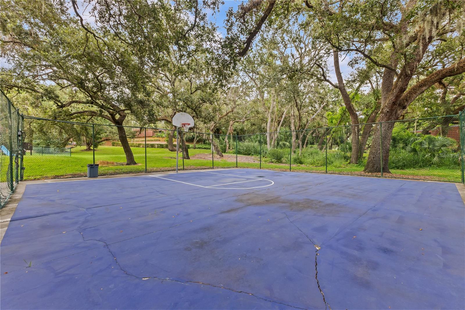 Basketball Court