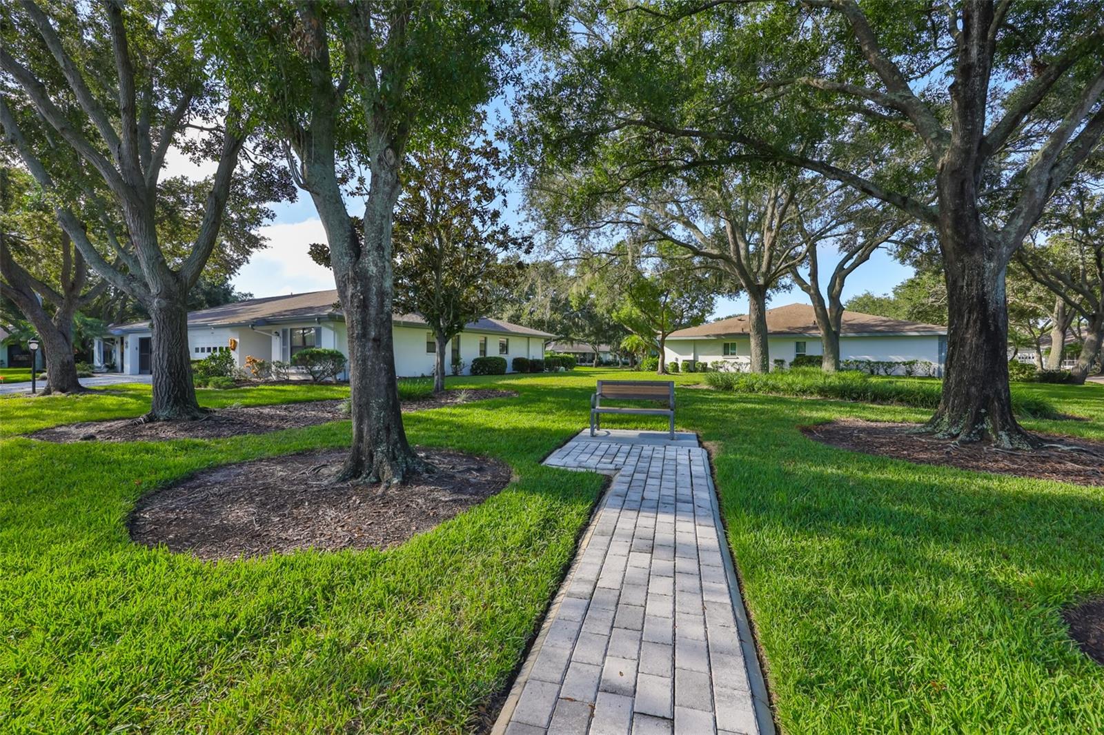 A sweet walkway to a neighborhood bench
