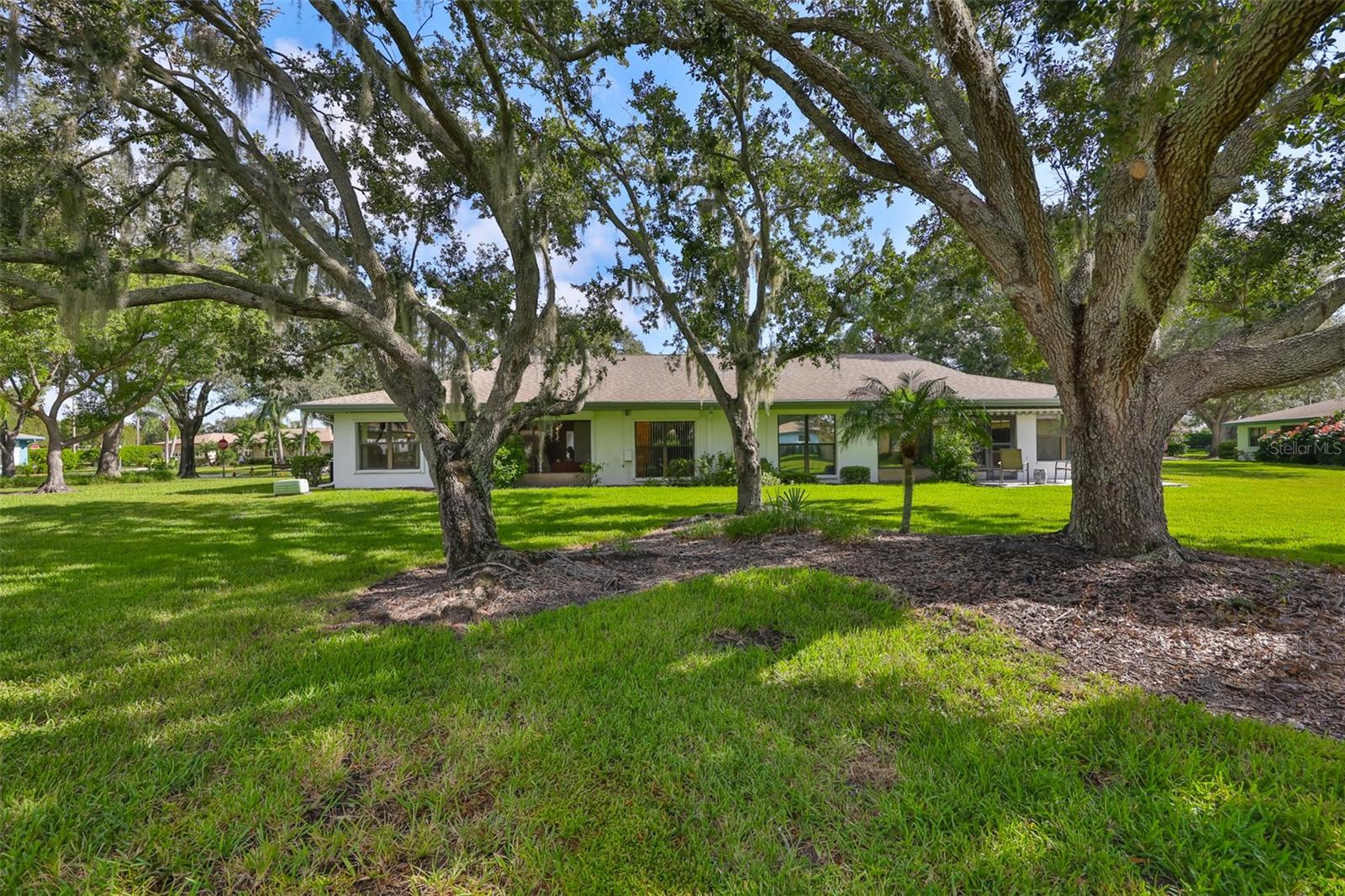 Large back yard