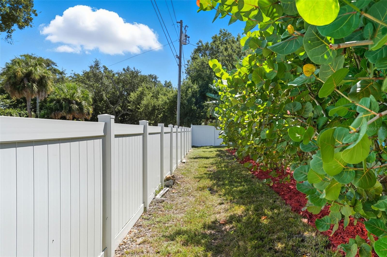 Freshly mulched and lined with mature greenery for a private outdoor retreat.
